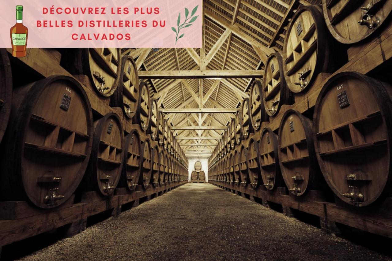 Suite Jungle - Jardin, Netflix Et Parking - Le Manoir Aux Pommes Orbec Eksteriør bilde